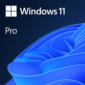 Phần mềm Microsoft Win Pro 11 64Bit Eng Intl 1pk DSP OEI DVD (FQC-10528)